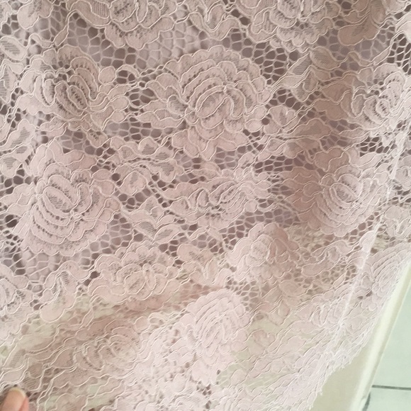 Express dusty rose lace sheath dress - Picture 7 of 7